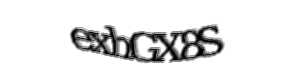 Security check image, please type the characters shown